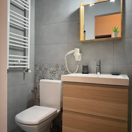 Vlad Cozy Loft Brasov