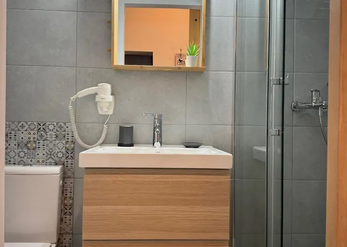 Apartment Vlad Cozy Loft Brasov